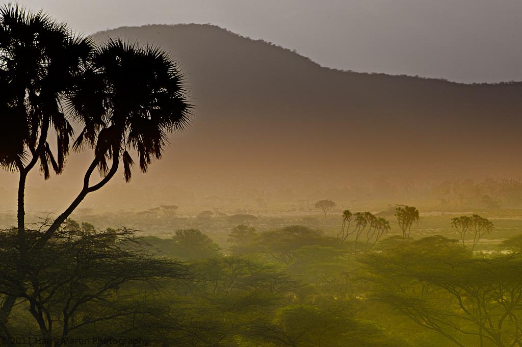 Buffalo Springs, Kenya