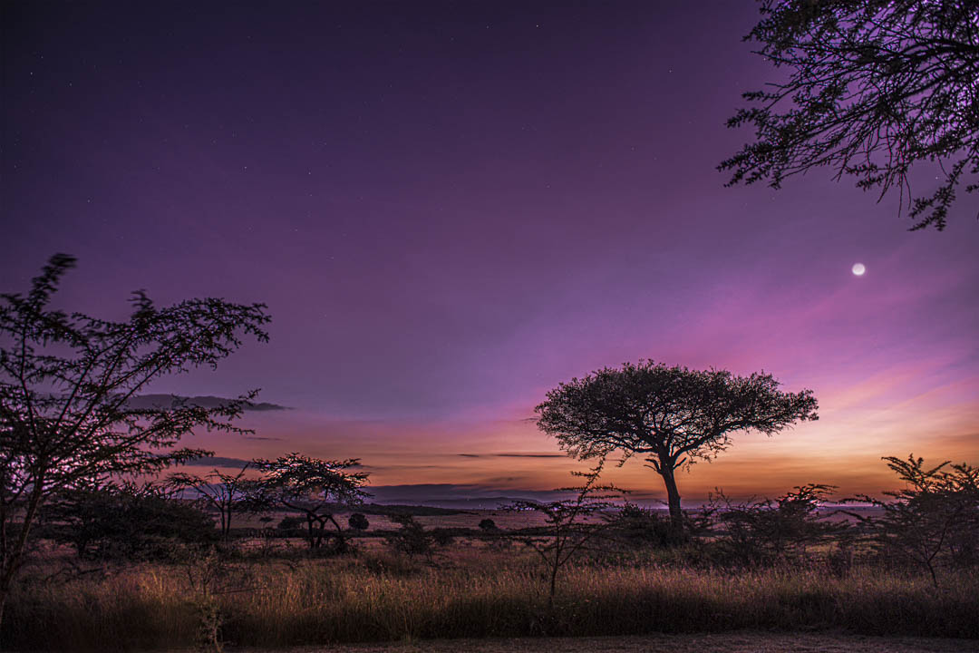 Landscape — Golden country