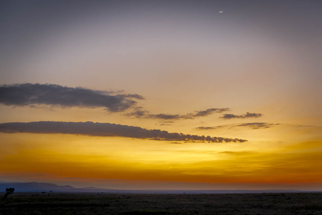 Landscape — End of day