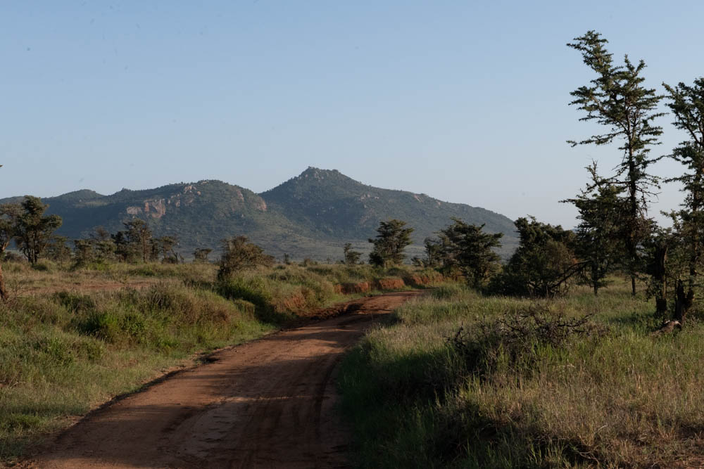 Dirt road winding through the African savanna