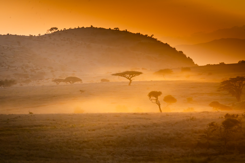 Rolling hill and misty savanna at golden hour