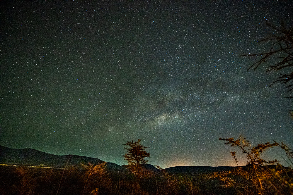 Milky Way above acacia trees lit by campfire glow