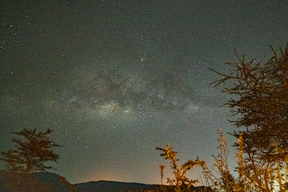 Milky Way band above a distant horizon with silhouetted trees
