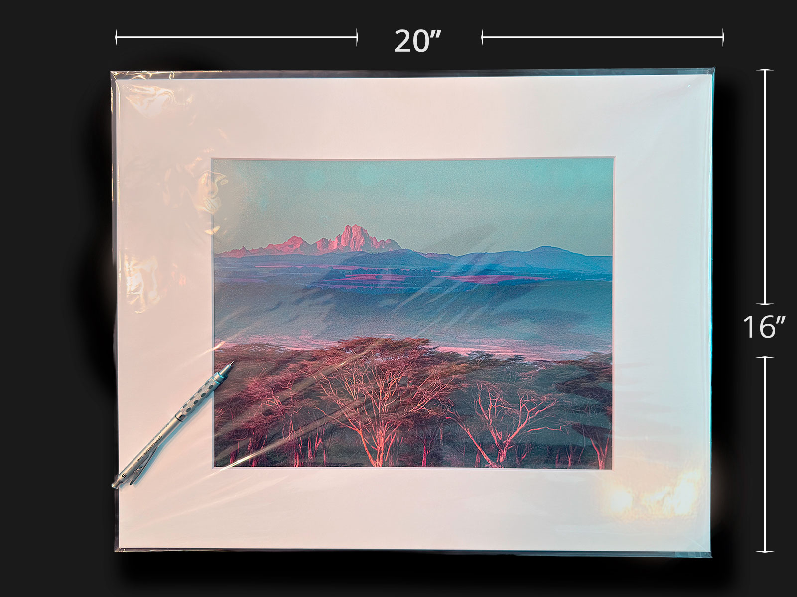 One-of-a-kind matted savanna landscape print — 20 by 16 inch mat with 11 by 14 inch print in a clear protective sleeve